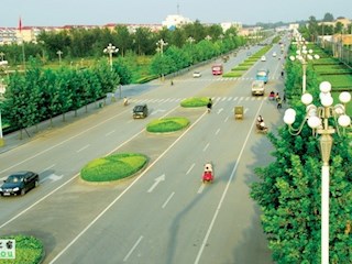 霸州市街道绿化