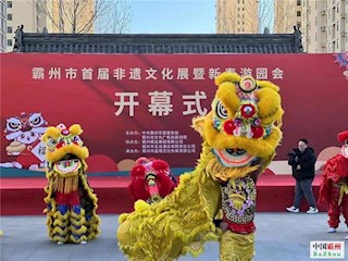 河北廊坊霸州：首届非遗文化展暨新春游园会成为欢度新春的好去处